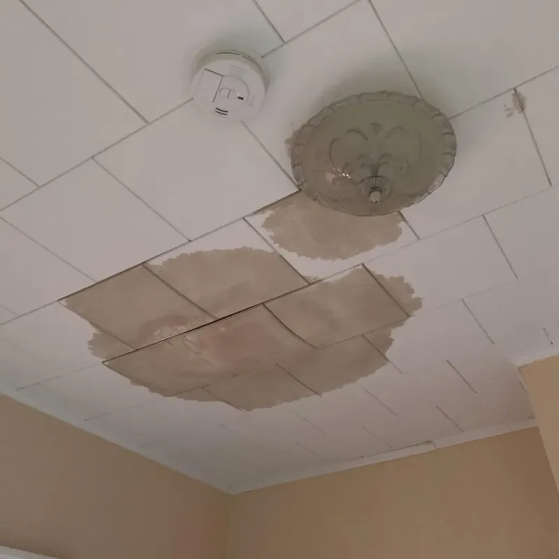 Ceiling Water Damage Repair in Hicksville, NY