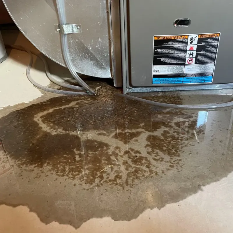 Pipe Burst and Leak Restoration in Hicksville, NY